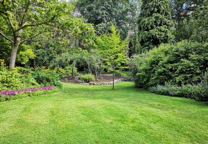 Optimiser l'expérience du jardin à Monteils