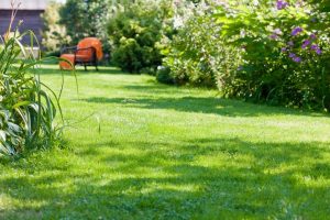 travaux jardin et paysage Monteils